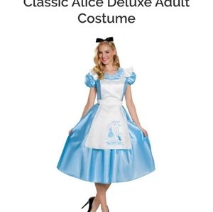 Disney Adult Classic Alice in wonderland costumes New in Bag size Large